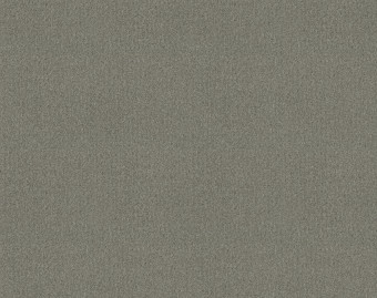 [1001111123_16] Tessera basis pro - 4207 ecru